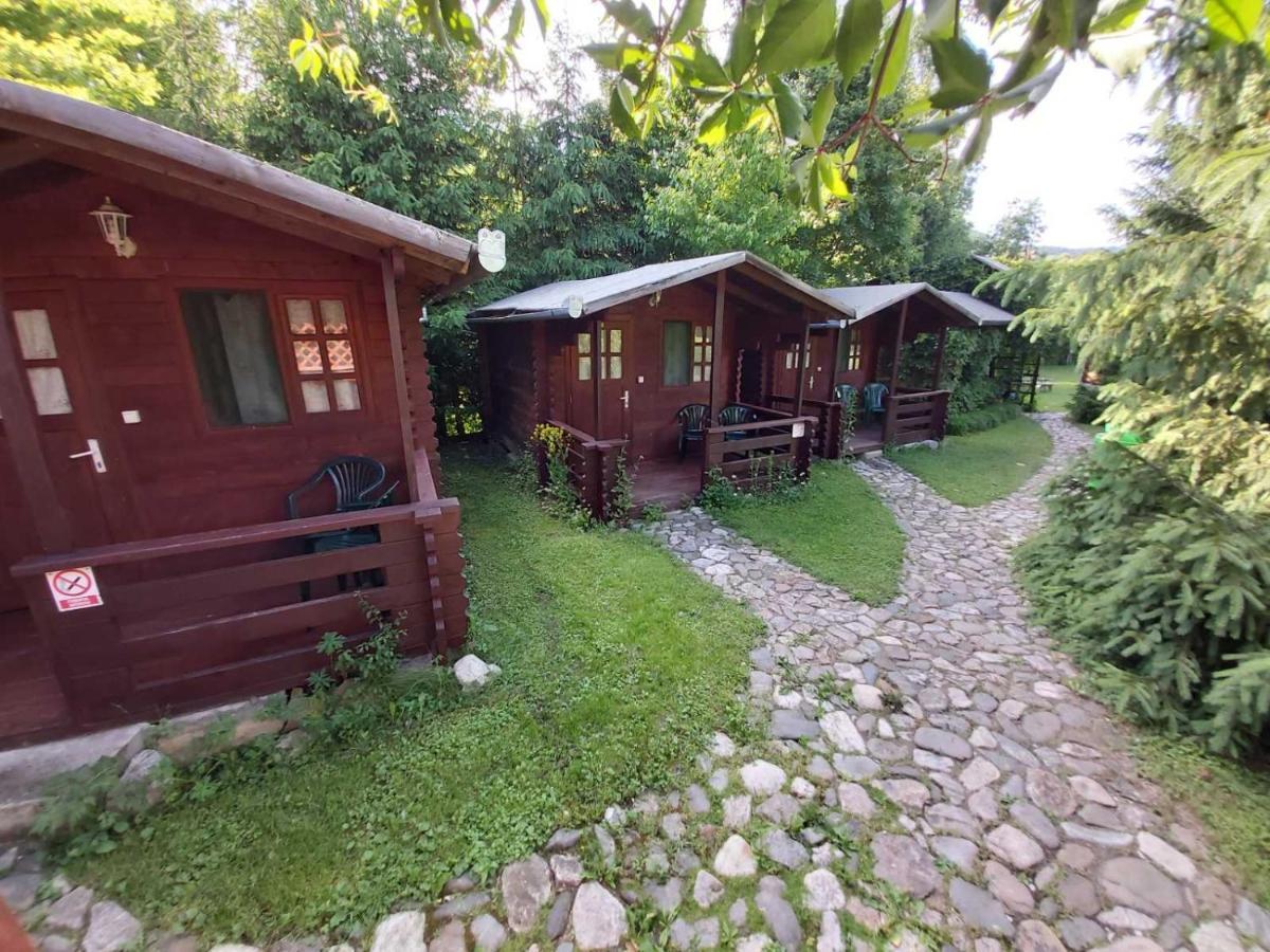 Bungalow Camping Edelweiss - Floare de colt - Gyopár Rimetea Exterior foto