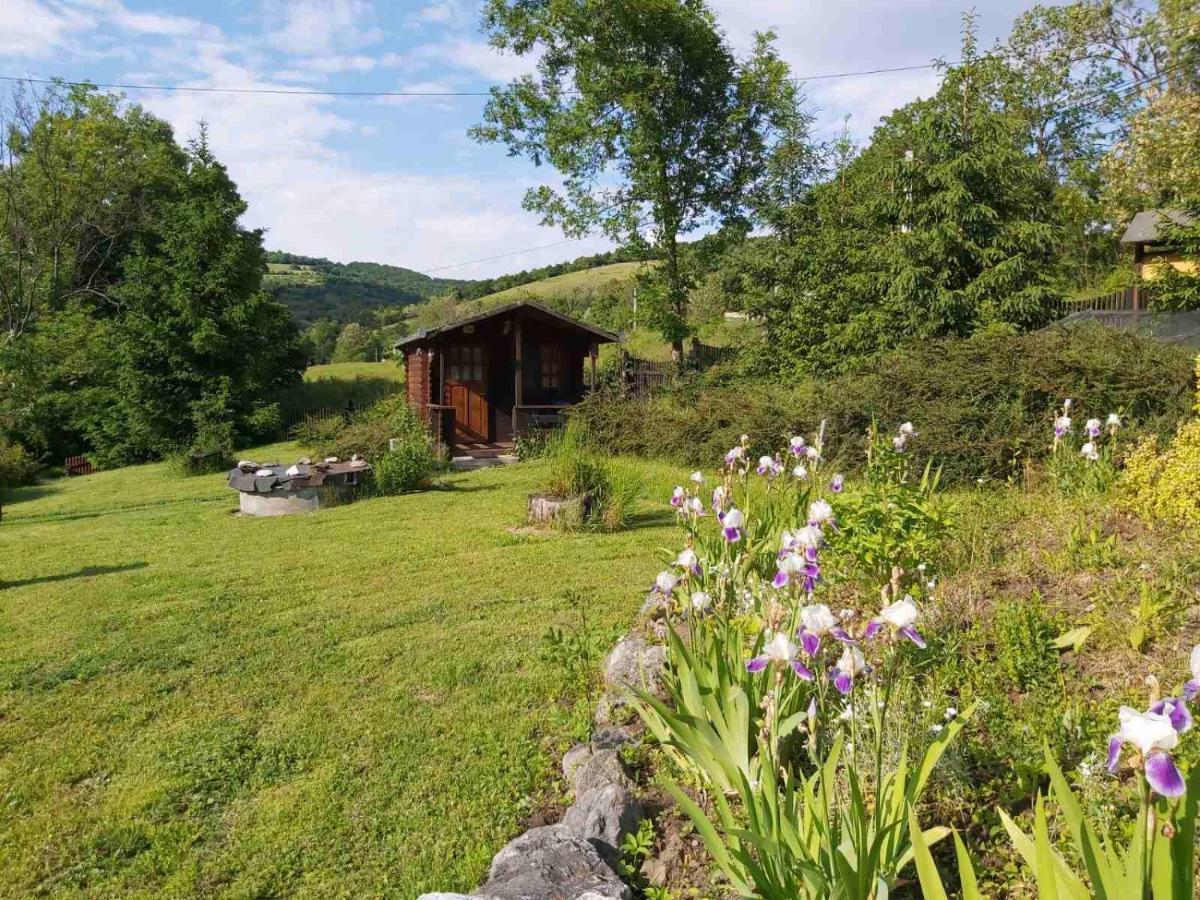 Bungalow Camping Edelweiss - Floare de colt - Gyopár Rimetea Exterior foto