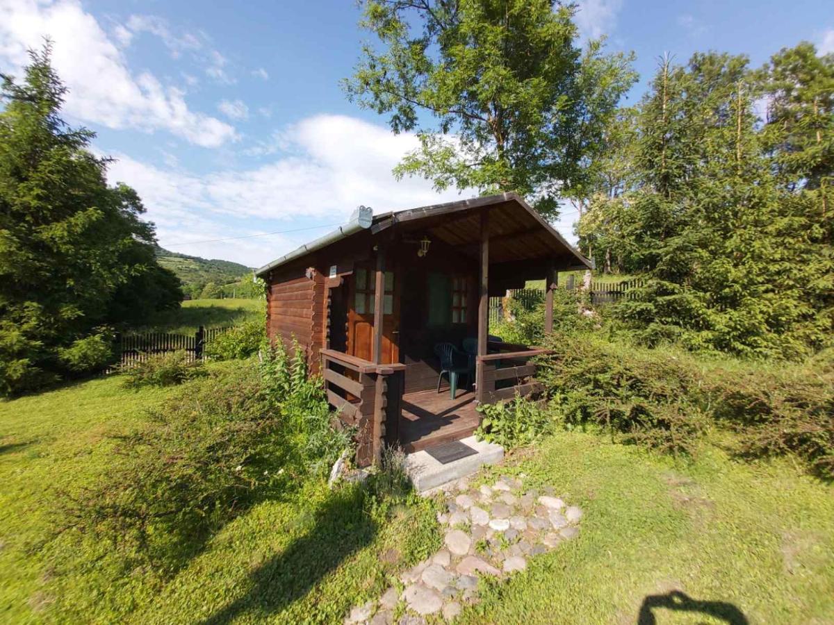 Bungalow Camping Edelweiss - Floare de colt - Gyopár Rimetea Exterior foto
