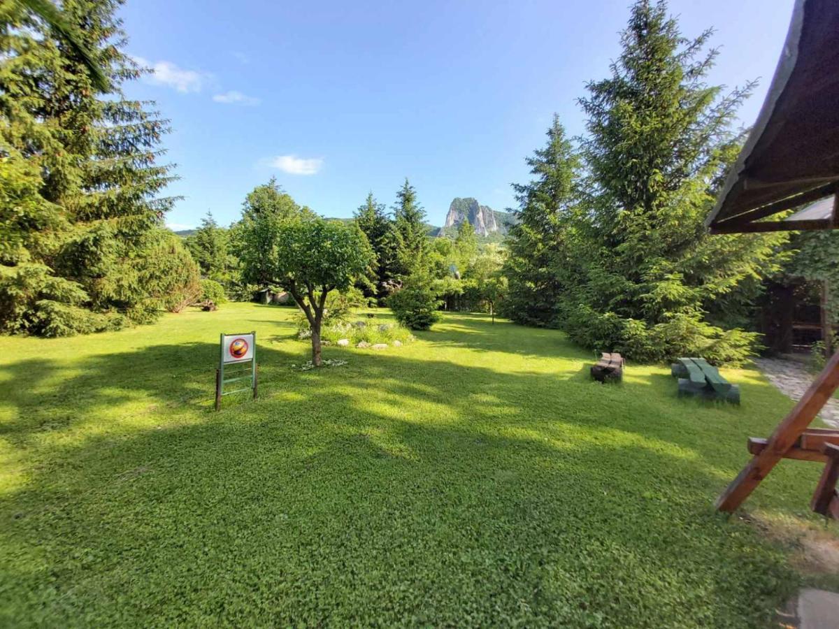 Bungalow Camping Edelweiss - Floare de colt - Gyopár Rimetea Exterior foto