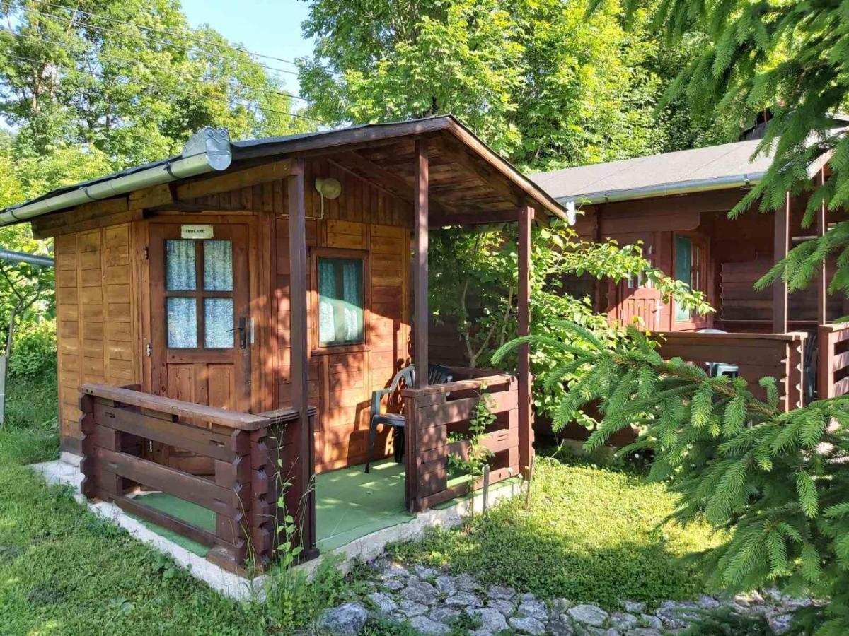 Bungalow Camping Edelweiss - Floare de colt - Gyopár Rimetea Exterior foto